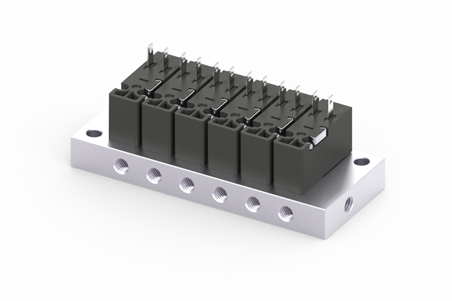 Manifold Schaltmagnet